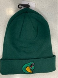 Nike Cuffed Logo Beanie Green