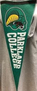 Pennant Premium Felt 12X30 Cobra