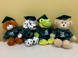 Graduation Plush