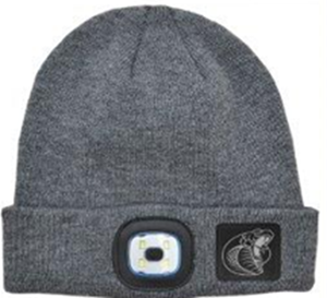 Artisans Led Beanie