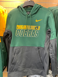 NIKE MENS THERMA PO HOODIE